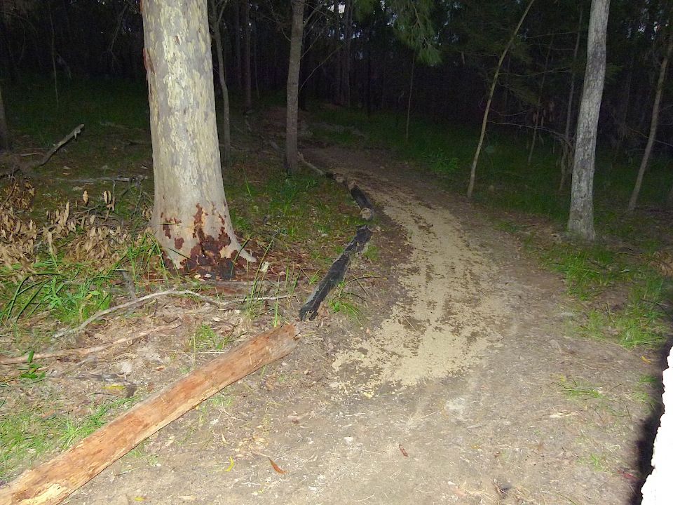 P1160380.jpg